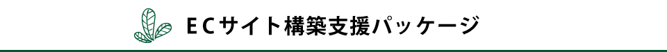 ECサイト構築支援パッケージ