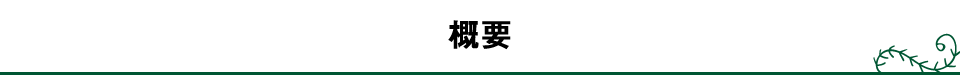 概要
